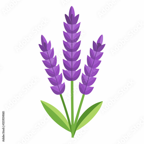 hardy lavender plant with tall purple spikes