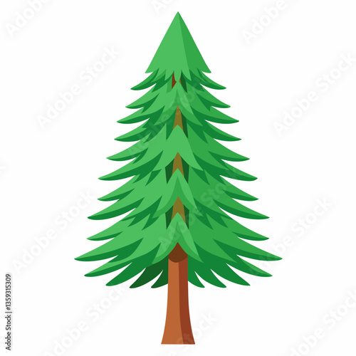 dwarf pine tree with stiff  short needles