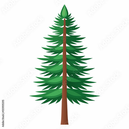 dwarf pine tree with stiff  short needles