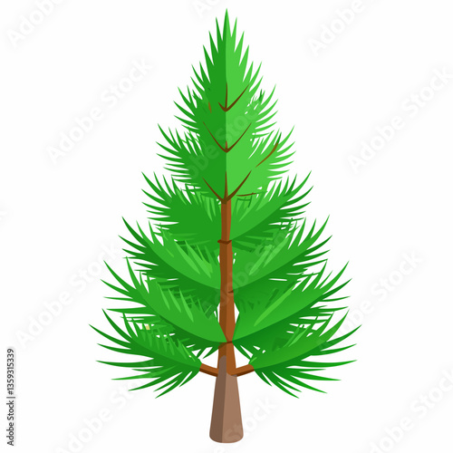 dwarf pine tree with stiff  short needles