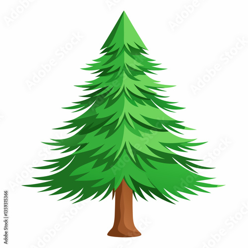 dwarf pine tree with stiff  short needles