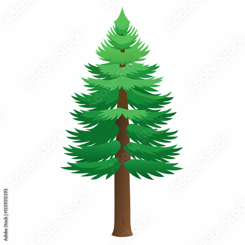 dwarf pine tree with stiff  short needles