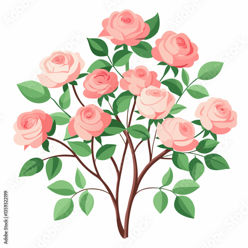 fragrant rose bush with pale pink blossoms 