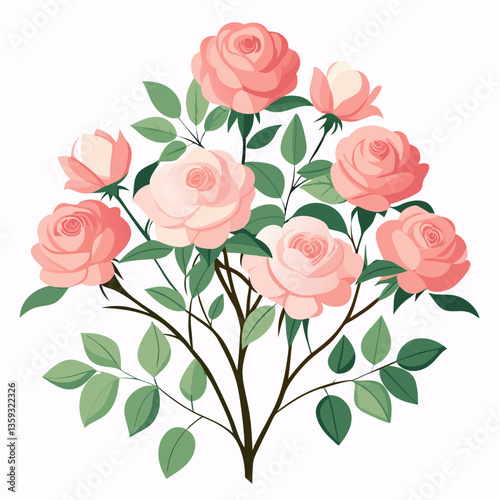 fragrant rose bush with pale pink blossoms 
