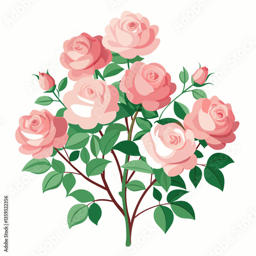 fragrant rose bush with pale pink blossoms 