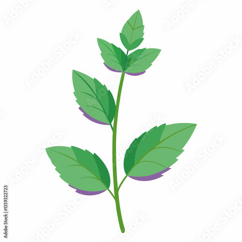 hardy mint plant with square stem 