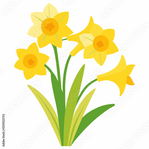 yellow daffodil flowers with trumpet shaped blooms
