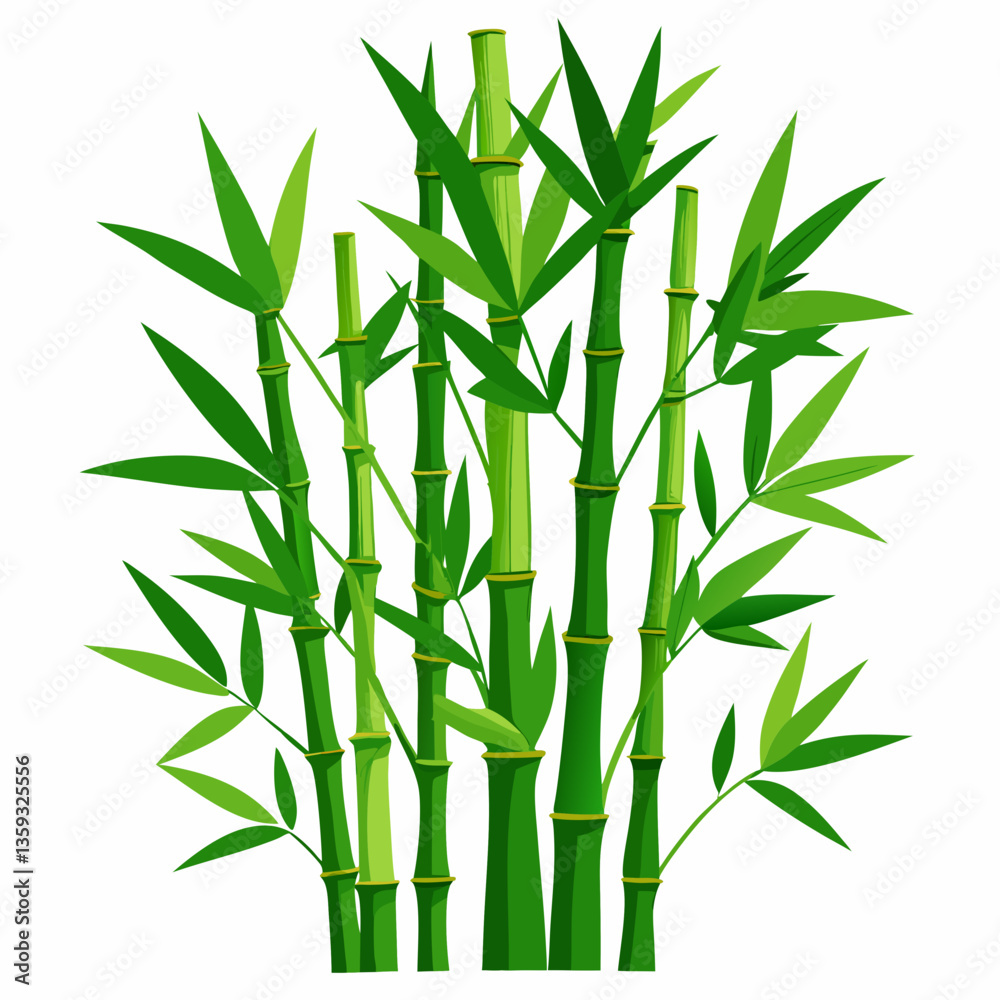 Fototapeta green bamboo stalks with dense foliage