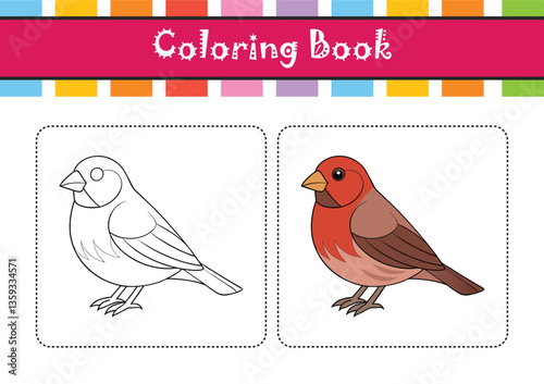  House Finch Bird Realistic Art