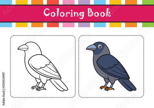  Vivid Jackdaw Bird Design
