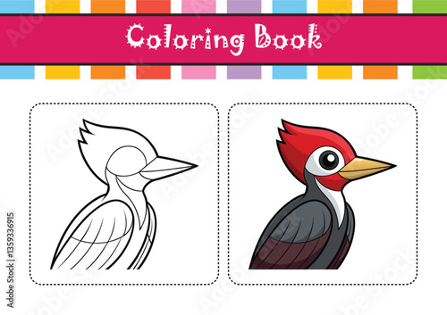 pileated woodpecker bird realistic color illustration