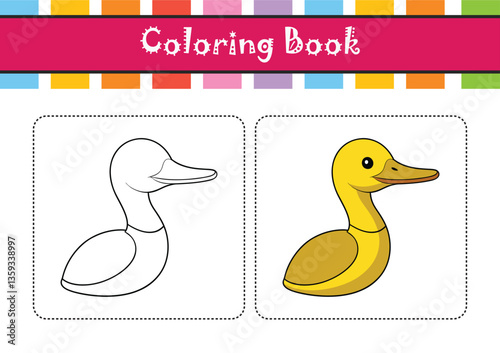  Elegant Yellow-billed Loon Bird Vector