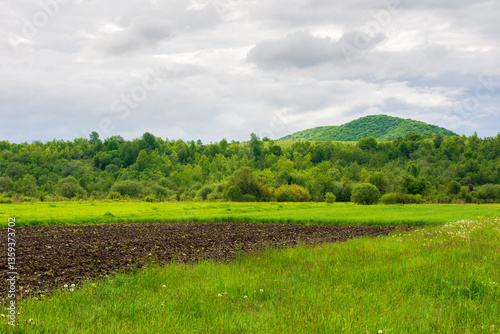 field near the forested hill. green rural landscape of ukraine in spring. beautiful view of arable on  meadow under cloudy sky in the morning. background for farmland or grassland in europe