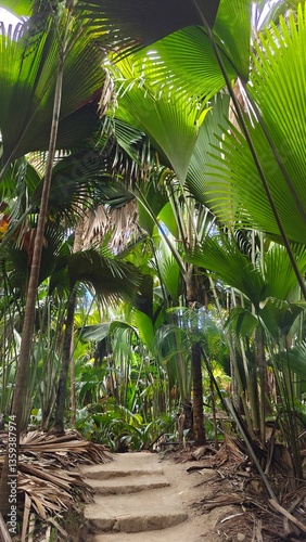 The lush tropical and colourful flora and fauna of the Seychelles, Africa