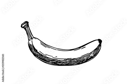 Hand-drawn vector illustration of banana, ideal for food projects, recipes, or dietary content. Simple design adds elegance to any creative work.