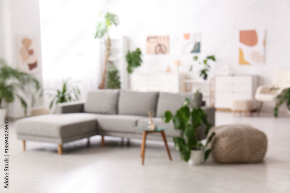 Fototapeta premium Blurred view of light living room with grey sofa and plants