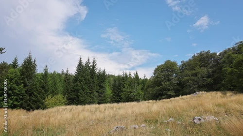 Clouds Passing Over the Vercors Forest - Timelapse