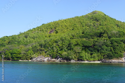 Wallpaper Mural The mangrove swamps on Curieuse Island in the Seychelles, Africa Torontodigital.ca