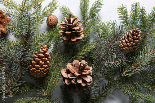 Pine cones with fir branche...