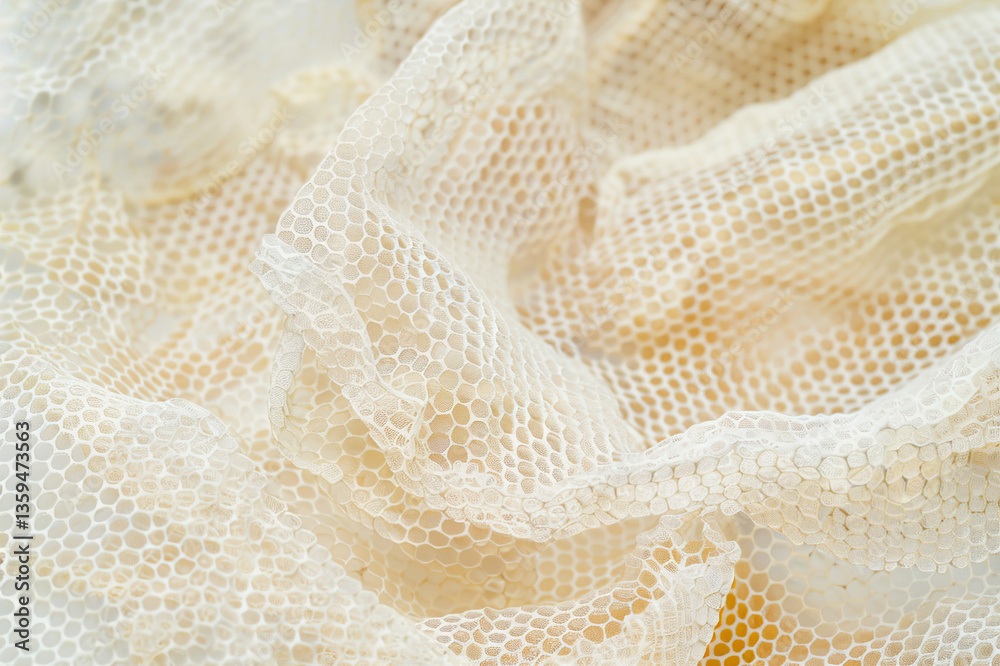 Detailed image of a honeycomb pattern with visible texture and natural light highlighting each cell Detailed image of a honeycomb pattern with visible texture and natural light highlighting each cell
