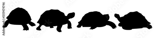 Turtle Silhouette Icon Set - Simple Flat Style Collection - Vector Illustration for Sticker, Logo, Symbol, Template, and Mockup - Isolated on White, EPS File