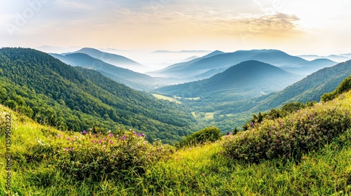 Majestic Sunrise Mountain Panorama  Breathtaking Valley  Lush Forest  Wildflowers