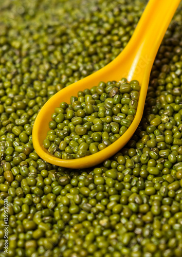 Fototapeta Closeup of Green Moong Dal beans in a spoon
