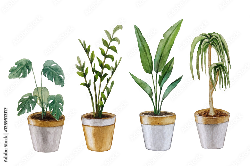 Obraz premium Indoor plants in pots. Watercolor drawing. For your design