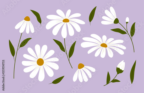 Vintage floral pattern with daisy flowers