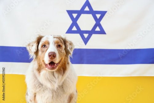 Cute dog and flag of Israel...