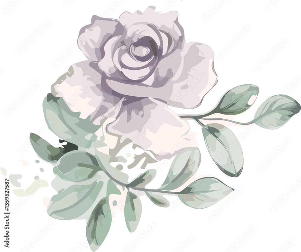 Fototapeta premium white flower watercolor floral elegant illustration design set