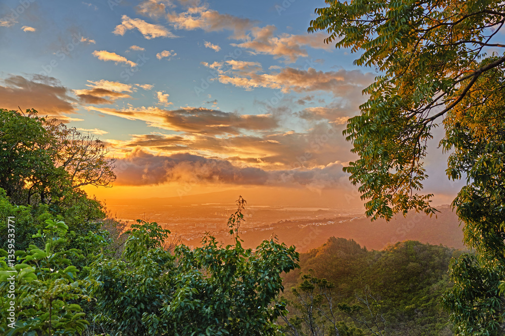 Forest, sunset and trees for peace in nature, sustainable environment and oxygen production on trip. Travel, trail and mountain green for calm on vacation in Hawaii, eco friendly woods and relaxing Forest, sunset and trees for peace in nature, sustainable environment and oxygen production on trip. Travel, trail and mountain green for calm on vacation in Hawaii, eco friendly woods and relaxing