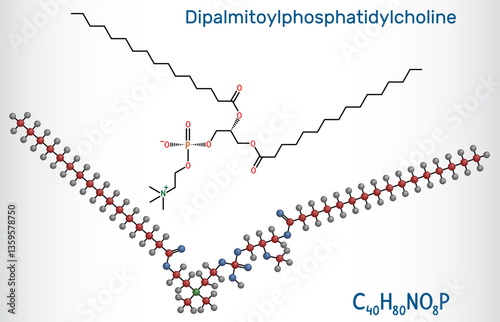 Dipalmitoylphosphatidylcholine, DPPC molecule. Natural phospholipid present in pulmonary surfactant. Structural chemical formula, molecule modell