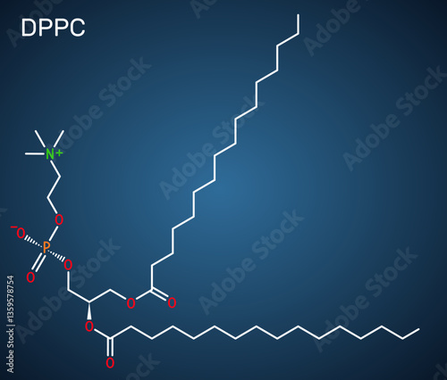 Dipalmitoylphosphatidylcholine, DPPC molecule. Natural phospholipid present in pulmonary surfactant. Structural chemical formula, dark blue background. Vector