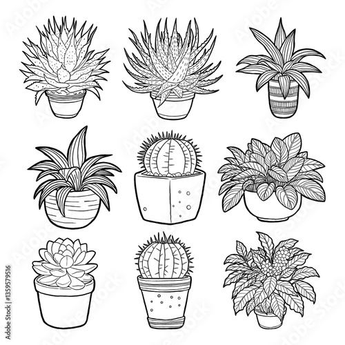Hand Drawn Houseplants Elements Outline. Vector illustration about Nature.