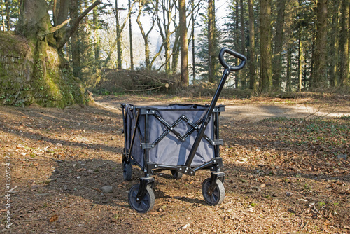 Obraz na płótnie Wheeled camping trailer going through forest w salonie