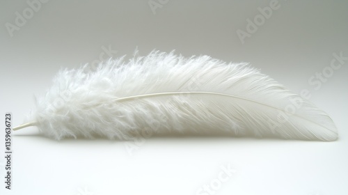 soft white feather lies peacefully on a smooth surface, highlighting its intricate textures and fine details. feathers pristine appearance evokes a sense of calm and simplicity