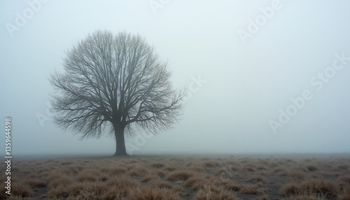 Single tree standing in a foggy desolate field