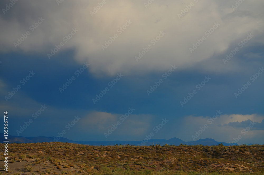 Fototapeta premium Landscape Sonora Desert Arizona