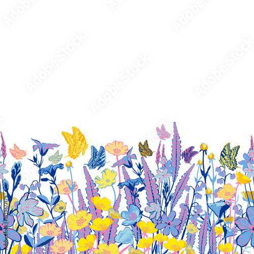wild flowers border
