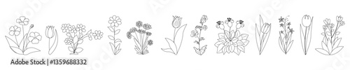 Wild and garden plants, branches, leaves, flowers, herbs.   Hand drawn minimal flowers in line art style. Vector illustration for logo, web3,  invitation, save the date, cards