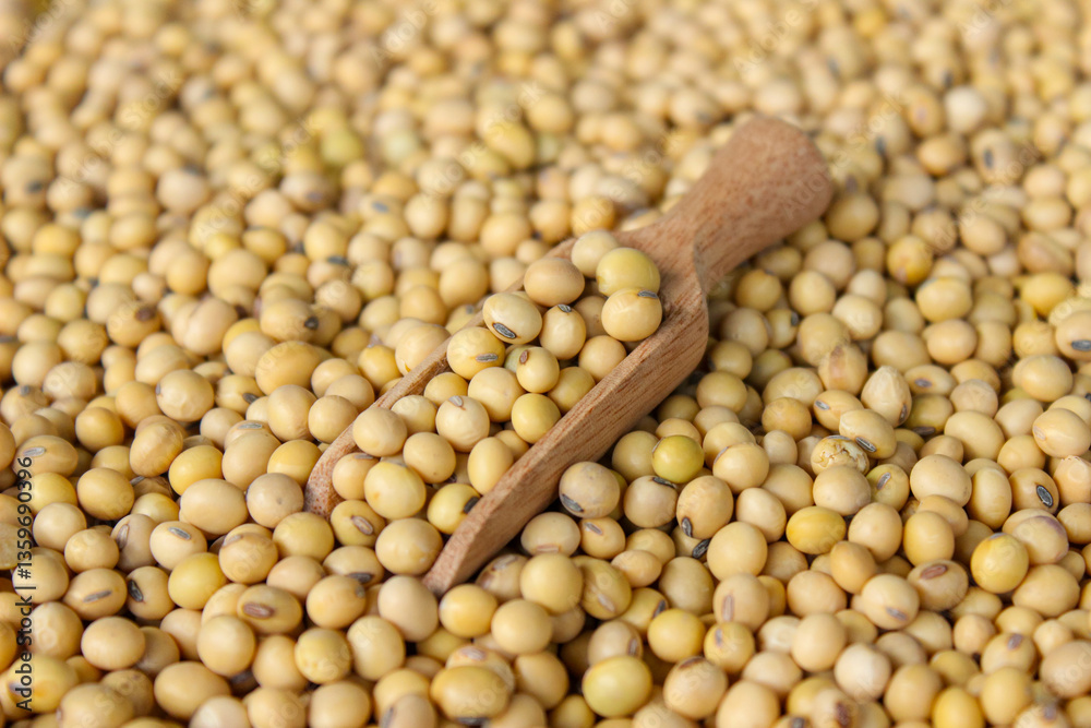 Fresh soybeans on a wooden shovel spoon with soybeans background. Raw soybeans. Food ingredients Fresh soybeans on a wooden shovel spoon with soybeans background. Raw soybeans. Food ingredients