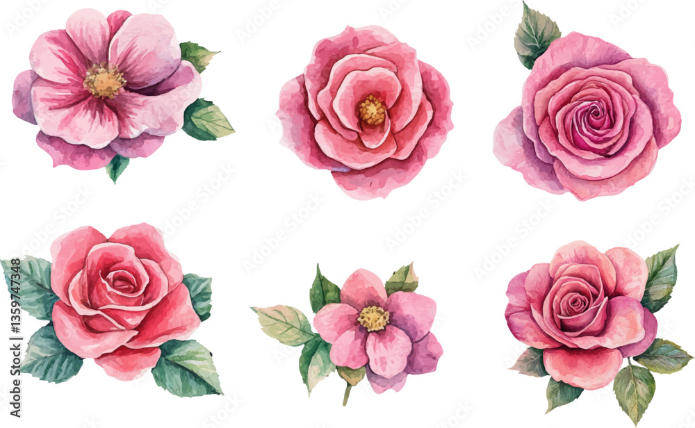set of pink roses set of pink roses