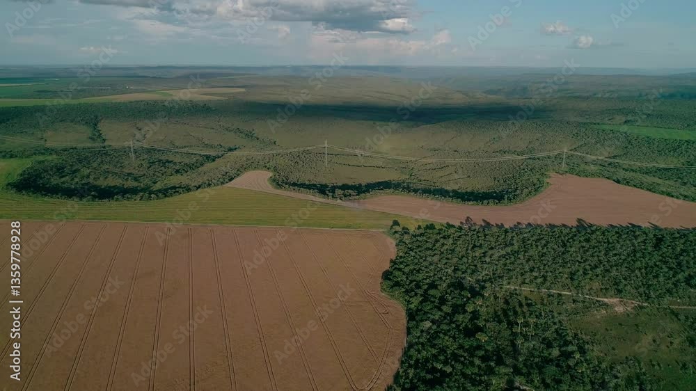 Amazon deforestation, land crisis, forest destruction, soy clearance