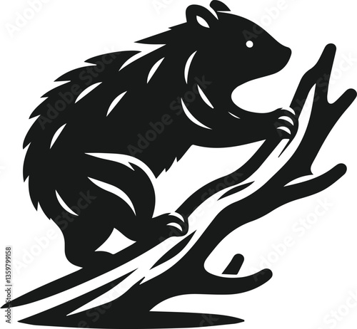 wombat on a branch
