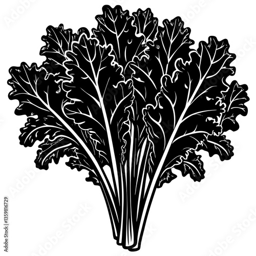Kale Bunch Illustration: A detailed monochrome illustration of a fresh, vibrant bunch of kale, showcasing its intricate leaf structure and organic form.