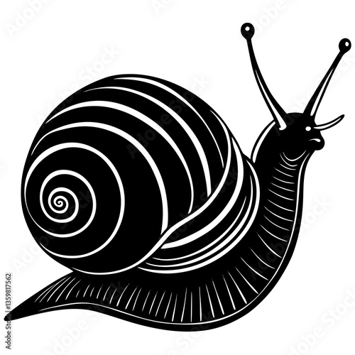 Elegant Gastropod: A black and white image showcases a stylized garden snail in profile, highlighting its graceful form and intricate shell patterns in stark contrast.