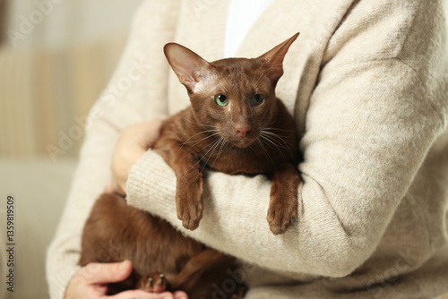 Wallpaper Mural Woman with cute Oriental Shorthair cat at home, closeup. Adorable pet Torontodigital.ca
