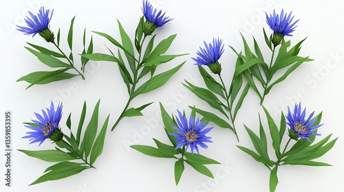Cornflower collection blue blooms and green foliage scattered against a bright backdrop, simple yet elegant botanical illustration