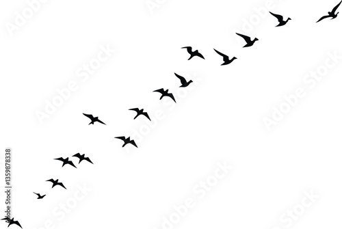 Flying Birds Silhouette Flock in Formation Against White Background, Nature